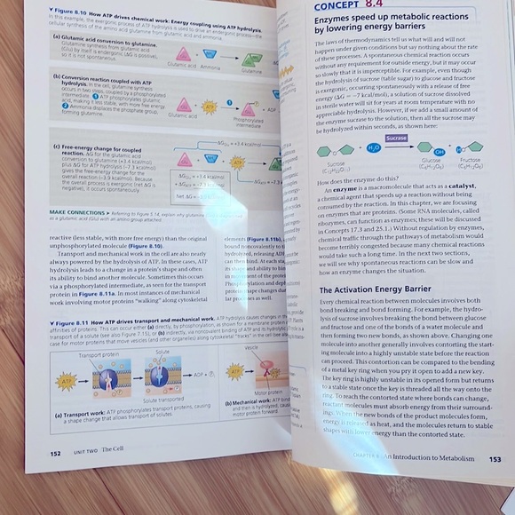 Campbell Biology Book - Picture 4 of 4